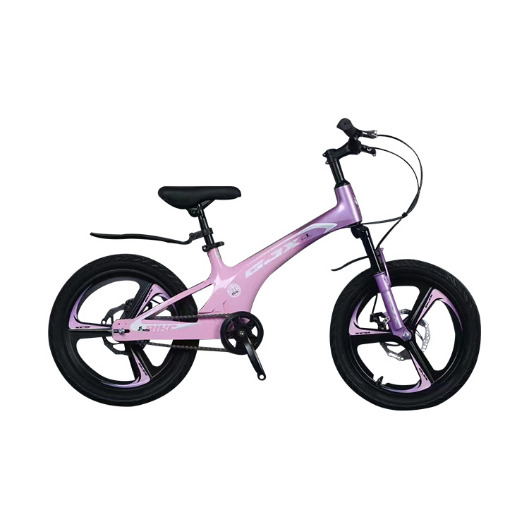 20 Size Magnesium Alloy Mountain Bike with NO Fork Suspension and Ordinary Pedal
