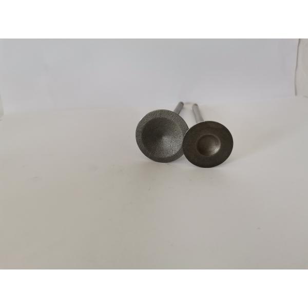 Quality FORD Diesel Engine Valve 3062AC Administration Valves Engine Components for sale