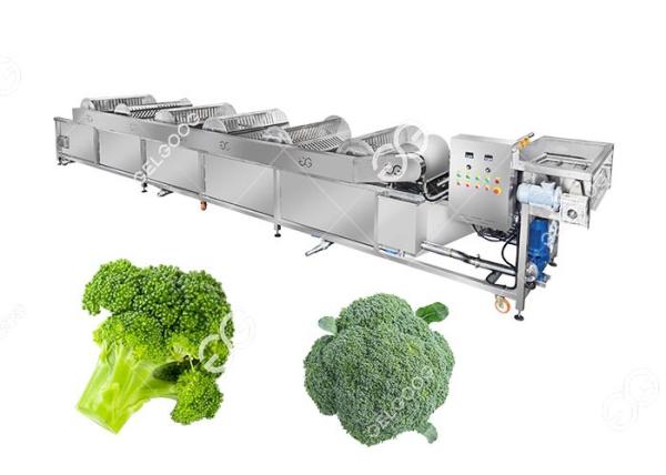 Industrial Frozen Broccoli Cauliflower Vegetable Washing Cleaning Production