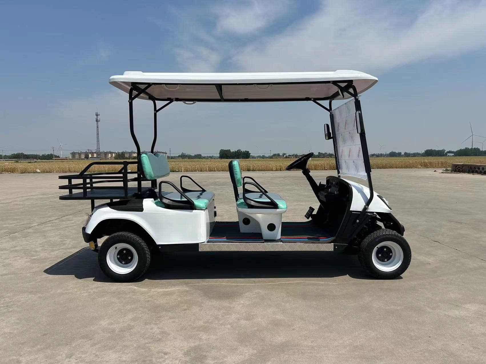 High Quality 4000W 60V Long Range Electric 4 Seats Facing Forward Golf Cart 14 Inch Family 4 Wheel