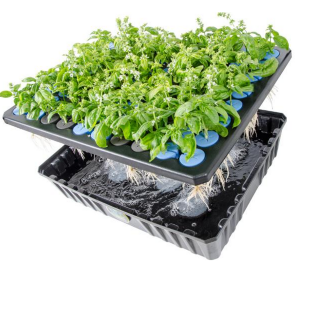 Heat Resistant Non Toxic Seeds Plant Cloning Collar Foam