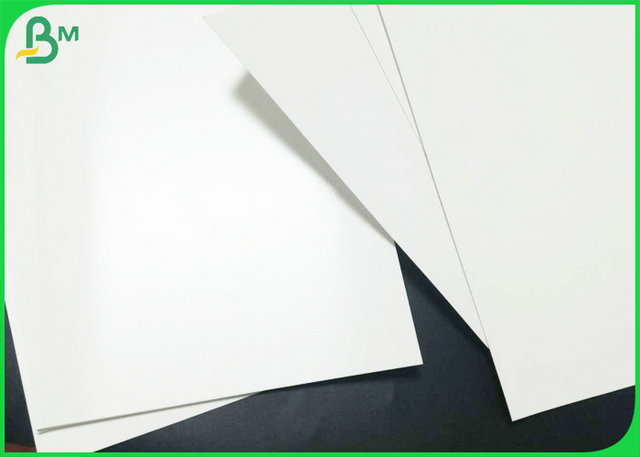 FDA Certified PE Coated Board 300gr 350gr Greaseproof For Making Lunch Box