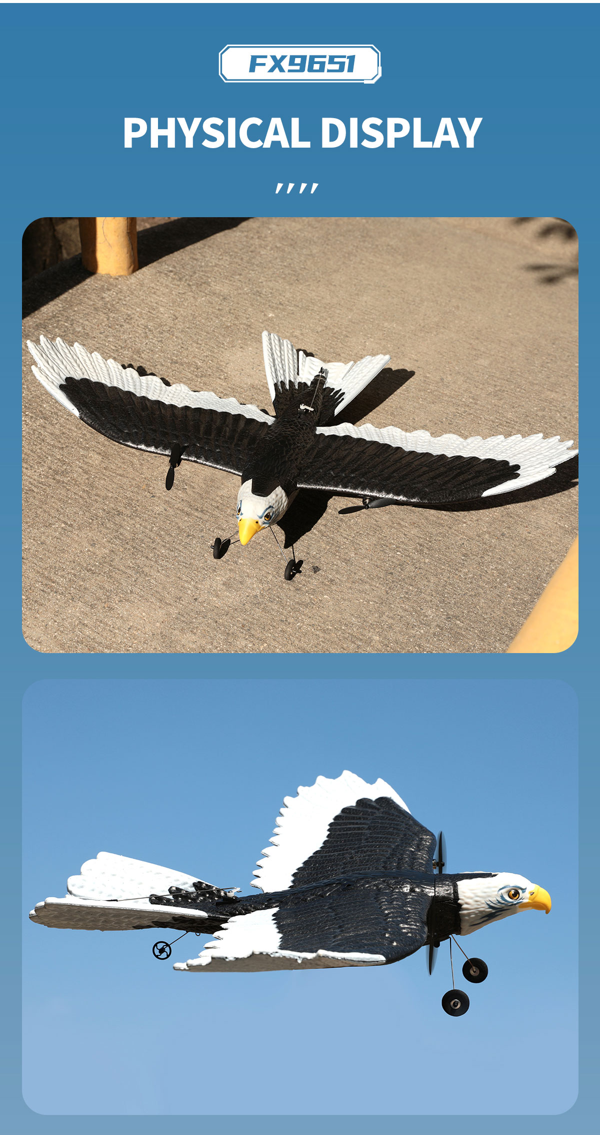 Features RTF 3ch Epp Foam Rc Simulation Wingspan Bald Eagle 2.4g Rc Glider Airplane Toys with 14 Years up Age Range