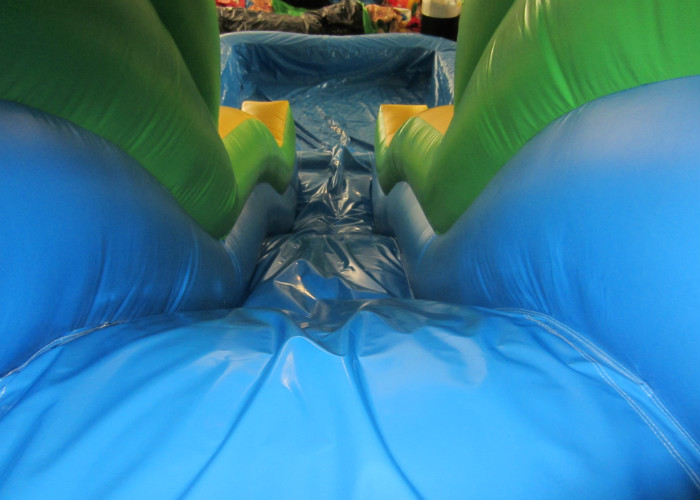 Summer 2017 palm trees inflatable water slide on sales inflatable single slide with water pool