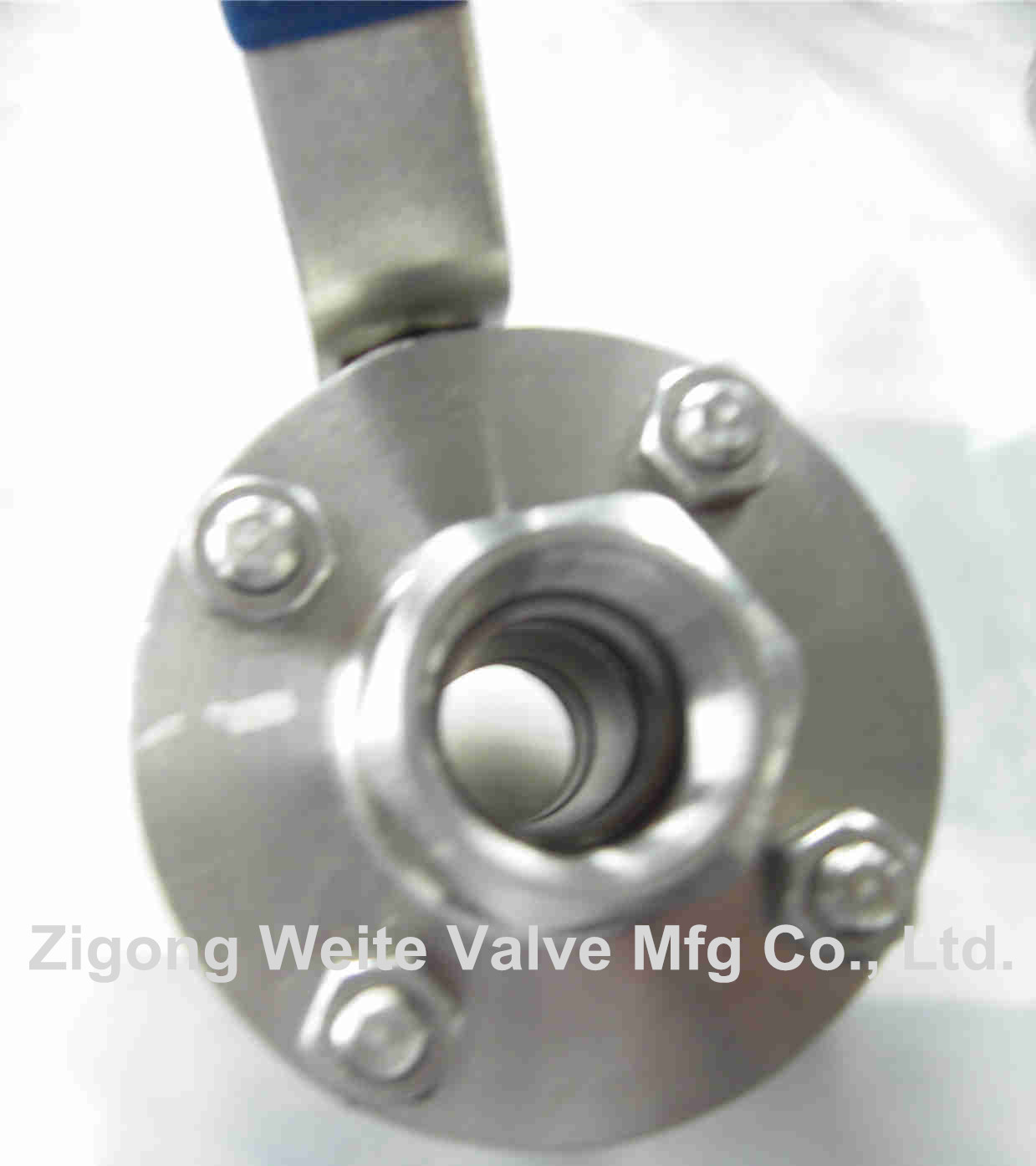 Stainless Steel Floating Ball Valve Threaded Ends Full Bore Ball Valve