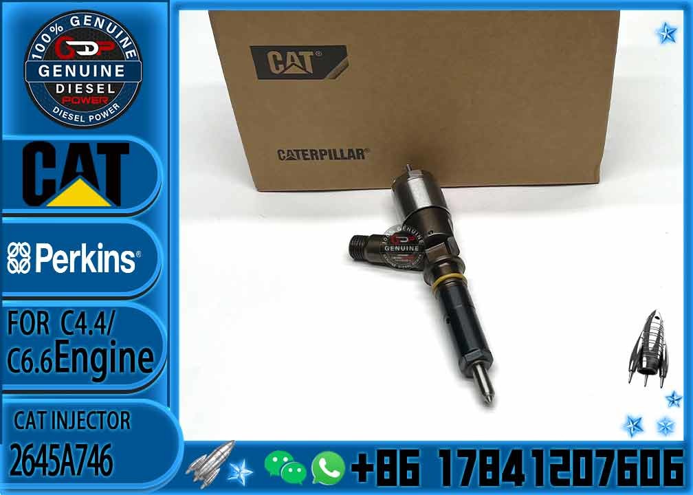 Diesel Common Rail Injector 2645A746 10R-7672 2645A718 10R-7673 10R-7676 2645A734 10R-7674 10R-7668 10R-7938 10R-7939