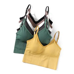 Beautiful Back Underwear Adjusted For Outside And Inside