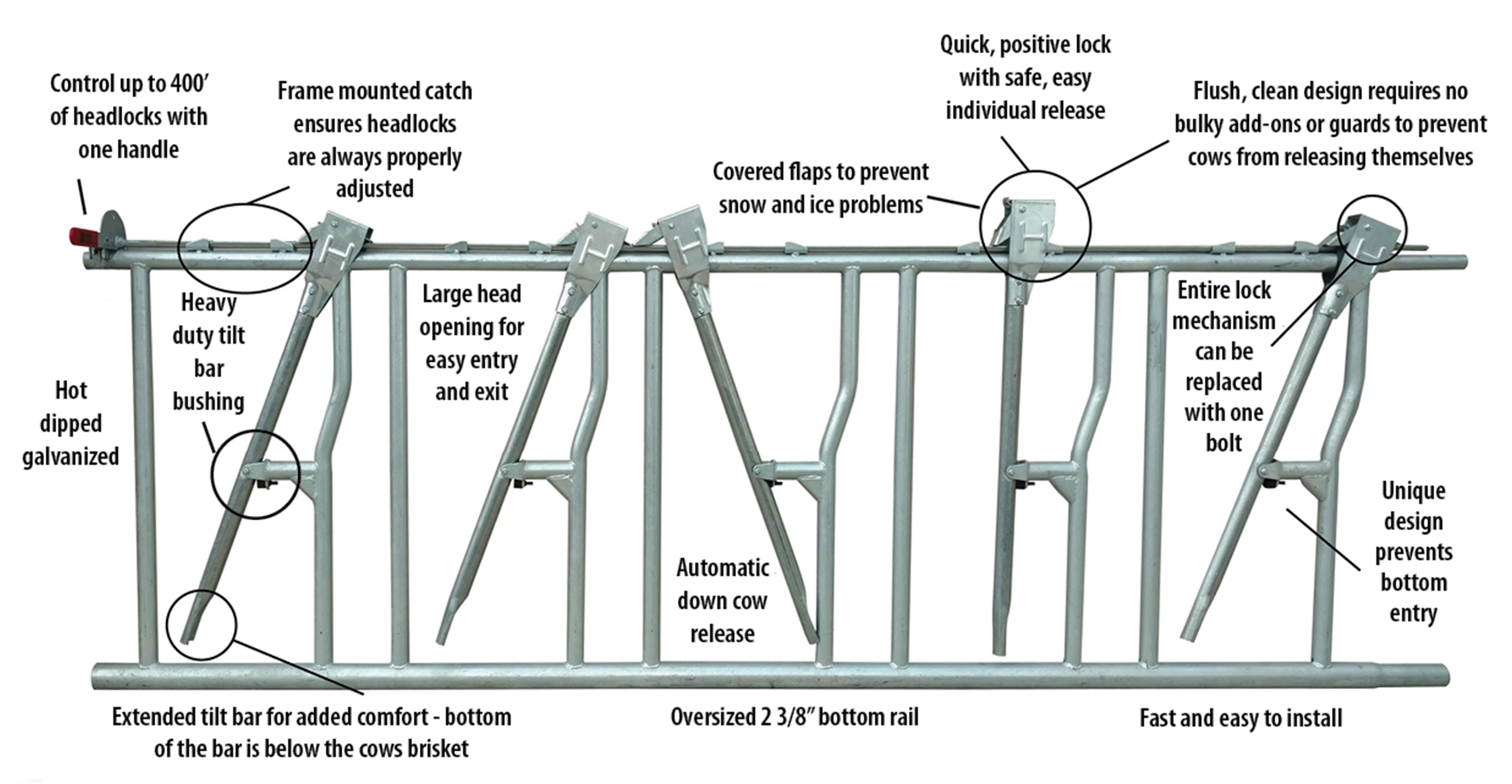 ISO9001 2008/CE/BV Certified Prefabricated Steel Beams H Beams Livestock Shed for Cow