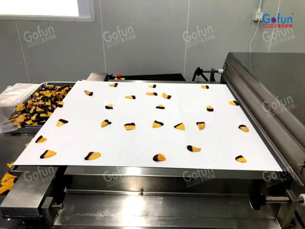 Dried Vegetable Processing Production Line Energy-saving Environmentally