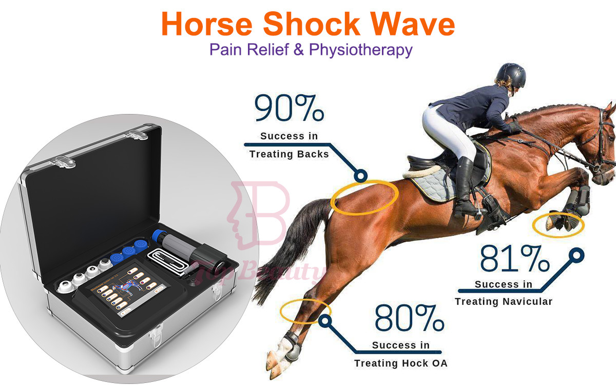 Portable Veterinary Shockwave Treat Orthopedic Problems In Horses Shockwave Therapy Machine
