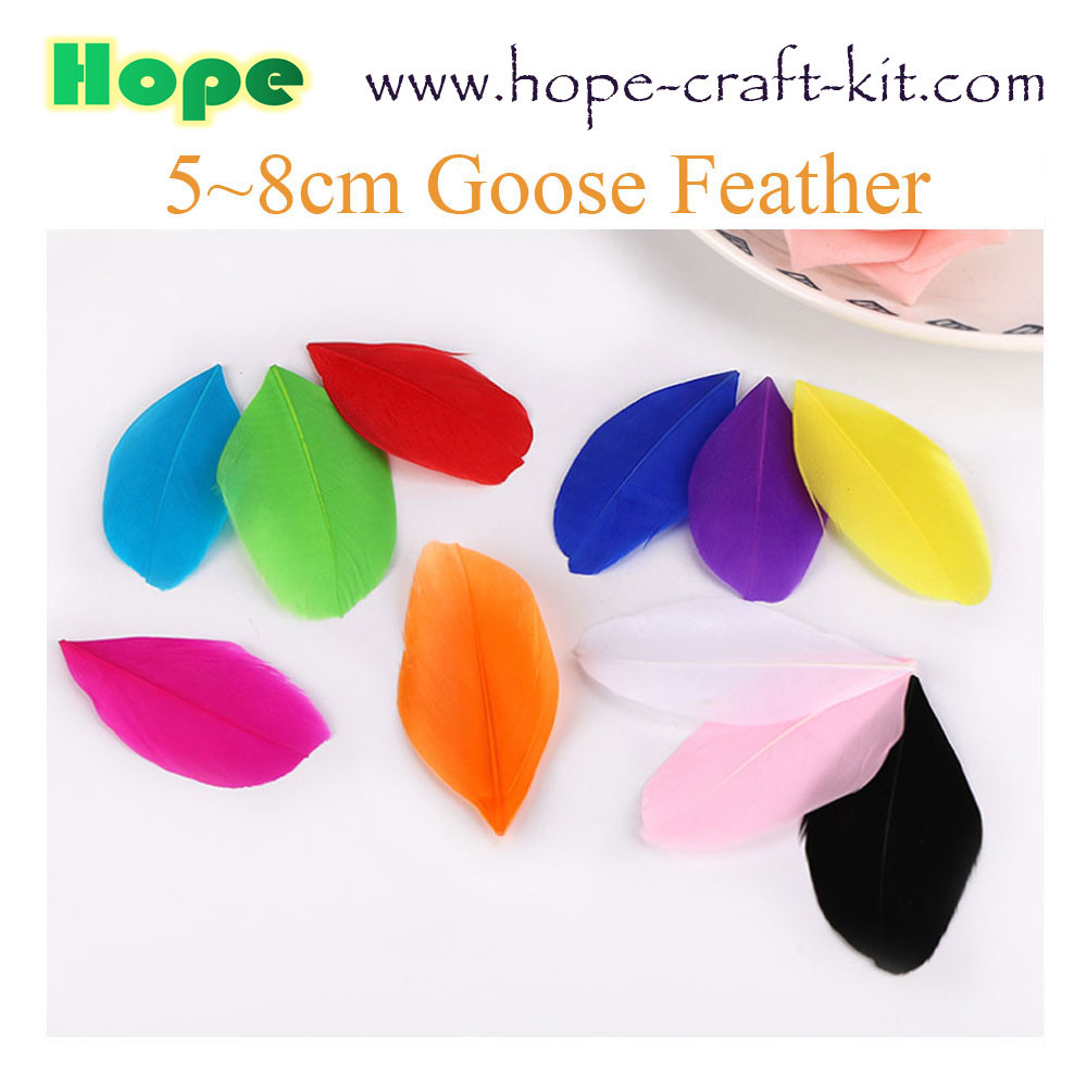 Peacock feathers, goose feathers, turkey chicken feathers for hobbies and children kids STEM hand-crafted DIY material