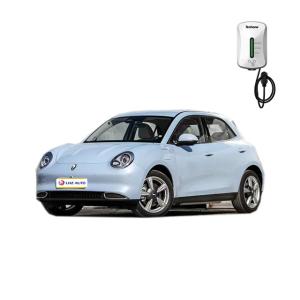 China 2024 ORA Good Cat GT 400km Crusing Range Light Edition Car Suv for Adults 2768 Wheelbase on sale