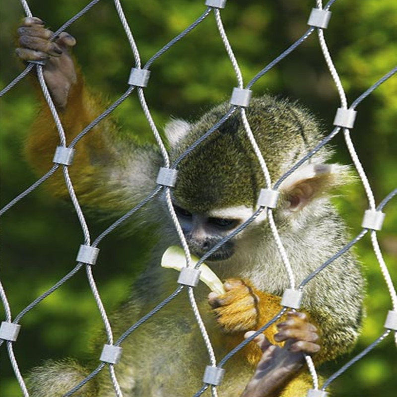 316L Stainless Steel Metal Wire Rope Mesh 8m Width 30X30 For Protecting Zoo