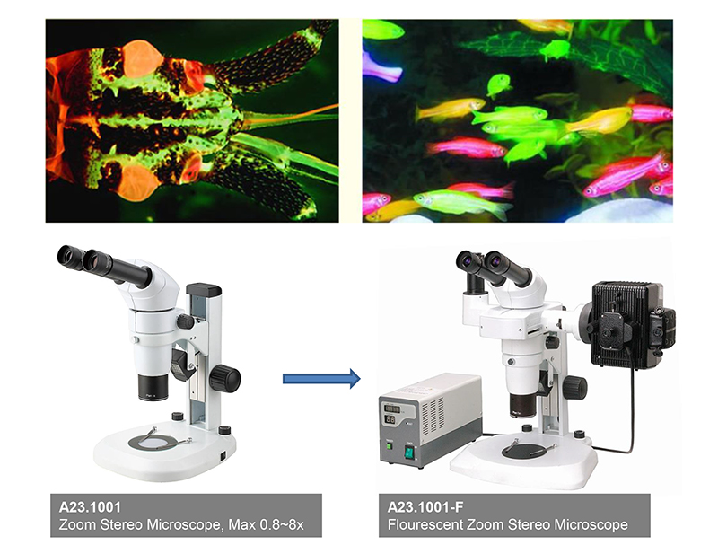 Inclined Head A23.1001 Stereo Zoom Binocular Microscope Max 0.8~8x
