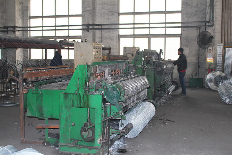 0.5-2 mm 1/2x1/2 1x1 50x50mm square mesh galvanized after welding hot dipped galvanized welded wire mesh