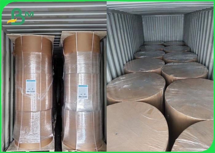  PE Coated Kraft Paper 