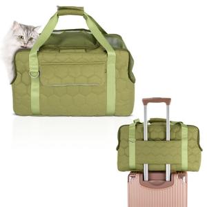 Portable Pet Carrier Backpack Large Capacity For Cat And Dog OEM / ODM Accept