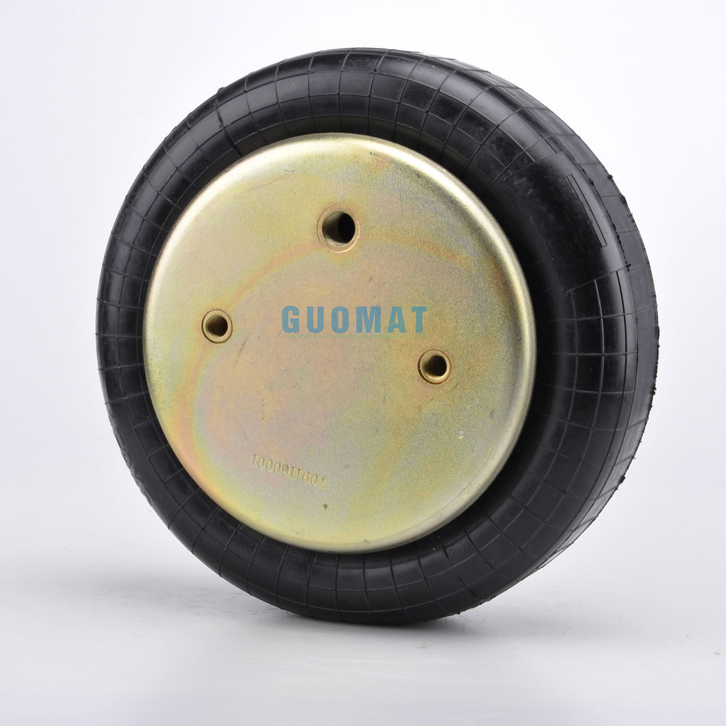 1/4 Nptf Gas Single Type Goodyear Suspension Spring 1b9-202 for Industrial Equipment