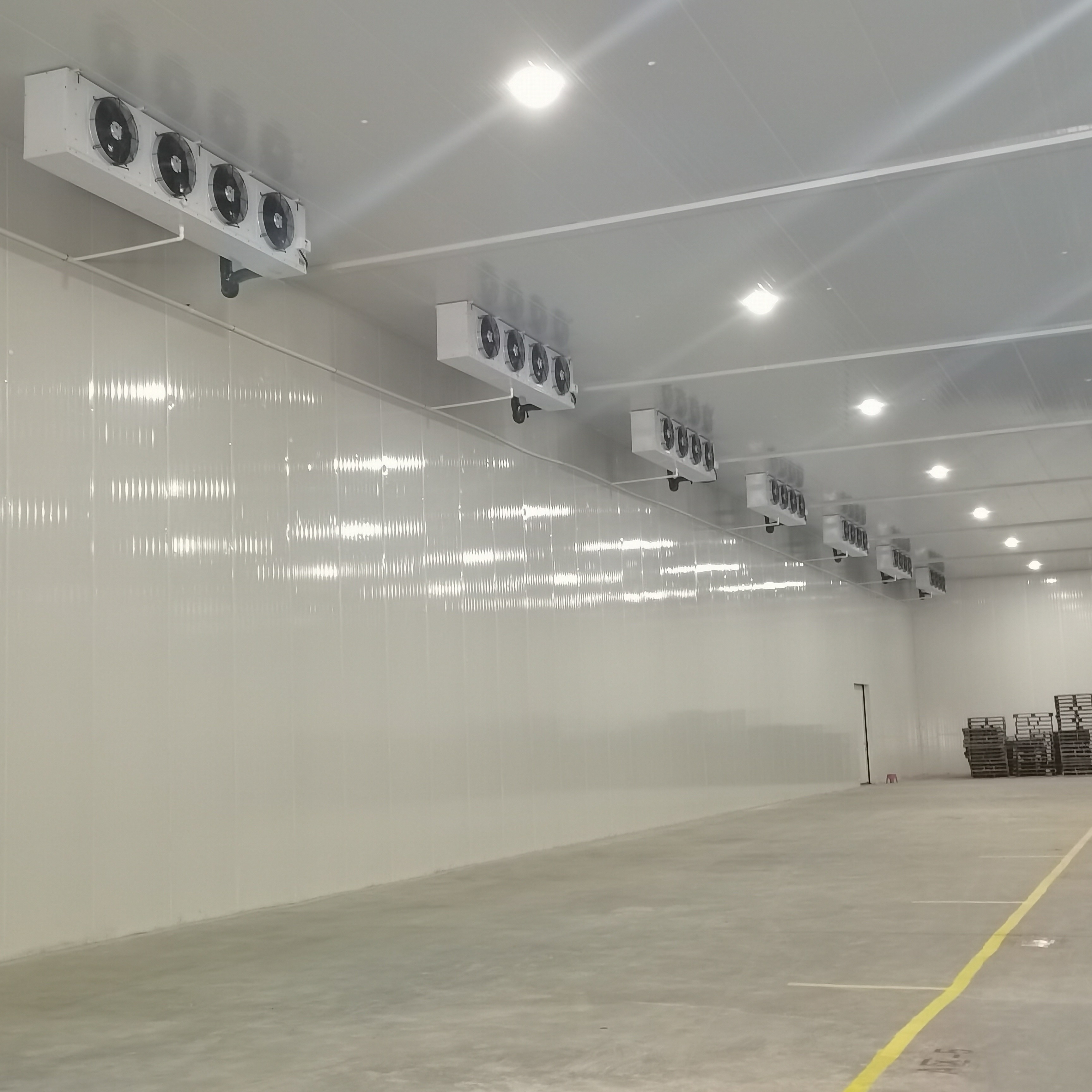 Fruit / Vegetable Freezer Cold Room Cold Storage Units For Fresh Keeping / Freezing