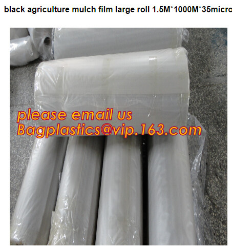 Multi-Span Plastic Film Cover Natural Ventilation Vegetable Greenhouse,Greenhouse Kits Plastic Greenhouse 200 micron gre