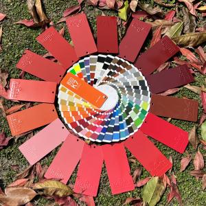 China Customized Colors Epoxy Polyester Powder Coating Dupont Raw Materials Curing at 180C for Indoor Applications on sale