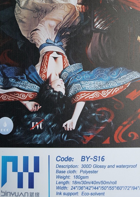 BY-S16 digital printing 300D*300D Glossy Eco-Solvent canvas fabric