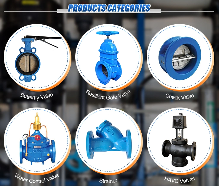 OBM Customized Metal Seat Standard Specification Drain Valve for Butterfly Structure
