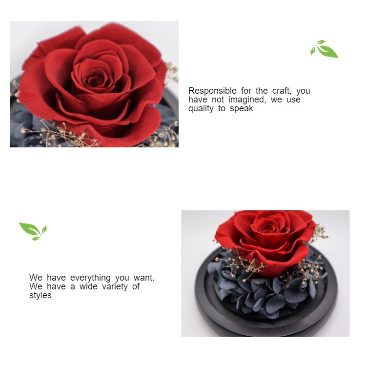 Romantic Real Eternal Roses , Glass Eternal Rose Gift Weddings Decoration