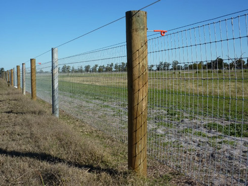 Galvanized Welded Wire Mesh Fence Field Wild Garden Fencing Roll Hardware