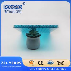 Transparent Eco-friendly X-structure Multiwall Polycarbonate Sheet 16mm