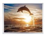 800:1 800x600 TFT LCD Modules Display Medical Apparatus Instruments