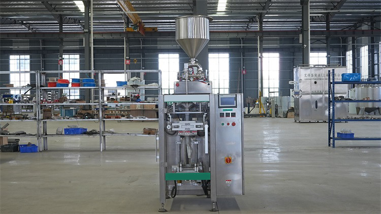 Stainless Steel Mango Processing Line for Reliable and High Capacity Production