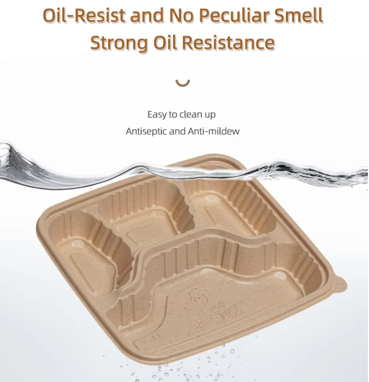 Eco-Friendly Disposable Rice Husk Fiber Clamshell Lunch Box Unbleached Biodegradable Food Container