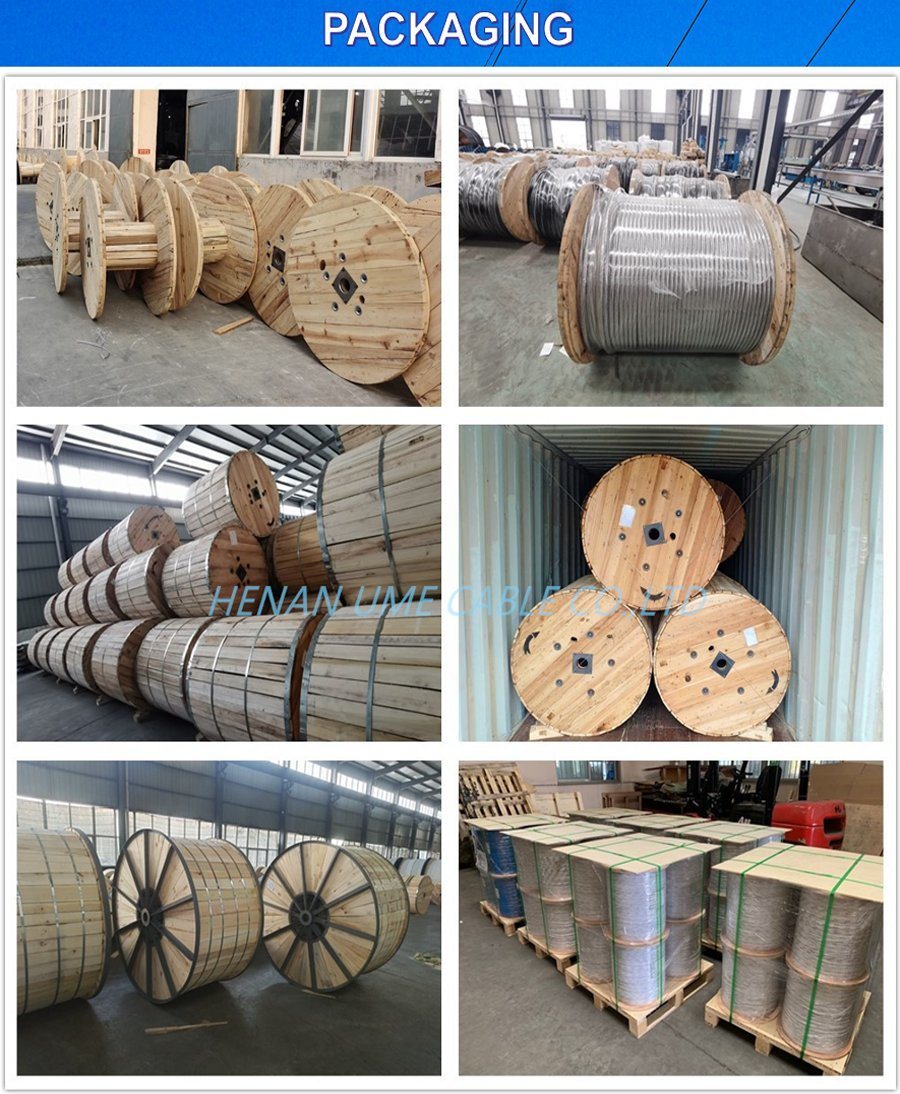 Aluminum Clad Steel Guy Strand 7X12AWG 19X7AWG 37X7AWG 20.3% 30% Opgw ACSR/Aw Acs Wire