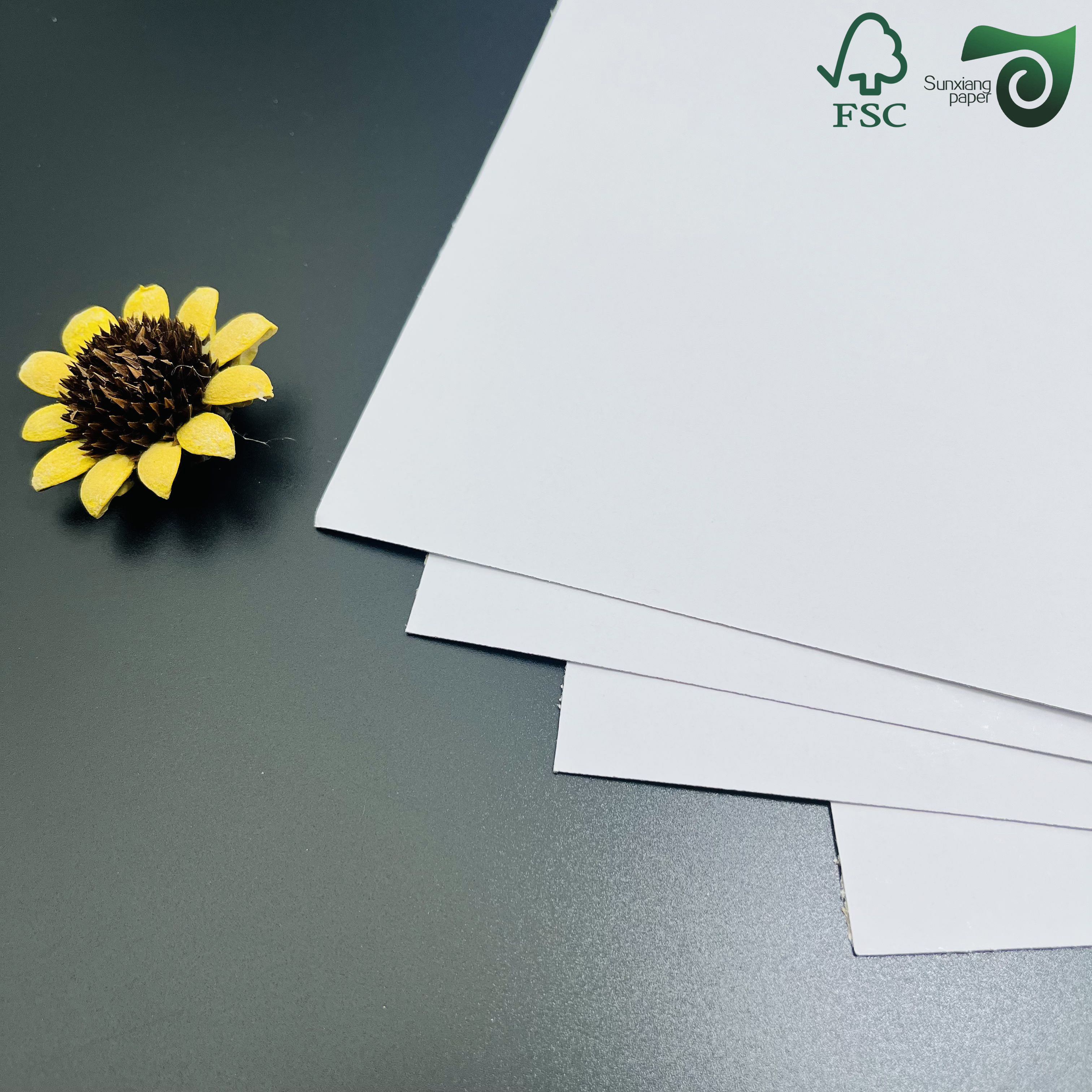 FSC 135gsm 21 29.7cm Clear Printed Double Sided Gloss Digital C2S Paper Coated Duplex Board