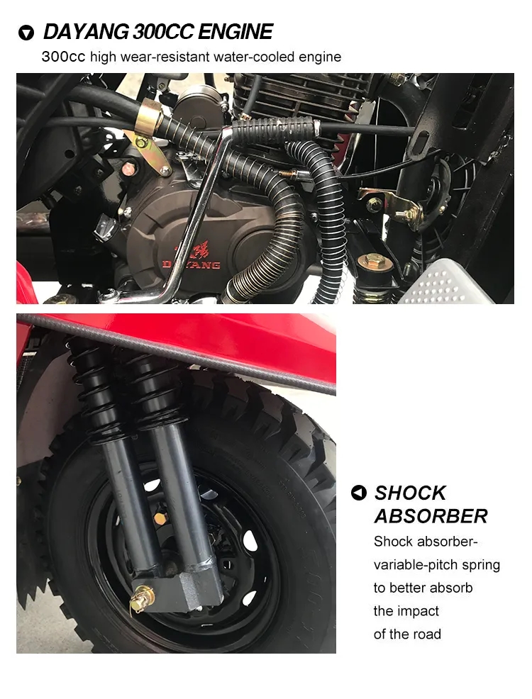 300cc 250cc Dayang Motorcycle Trike with 5.0-12 Tyre and Advanced Engine Design