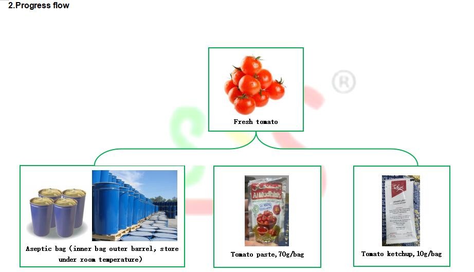 Customized Voltage Fruit Jam Paste Sauce Processing System 10g Bag 220L Aseptic Bag Packing