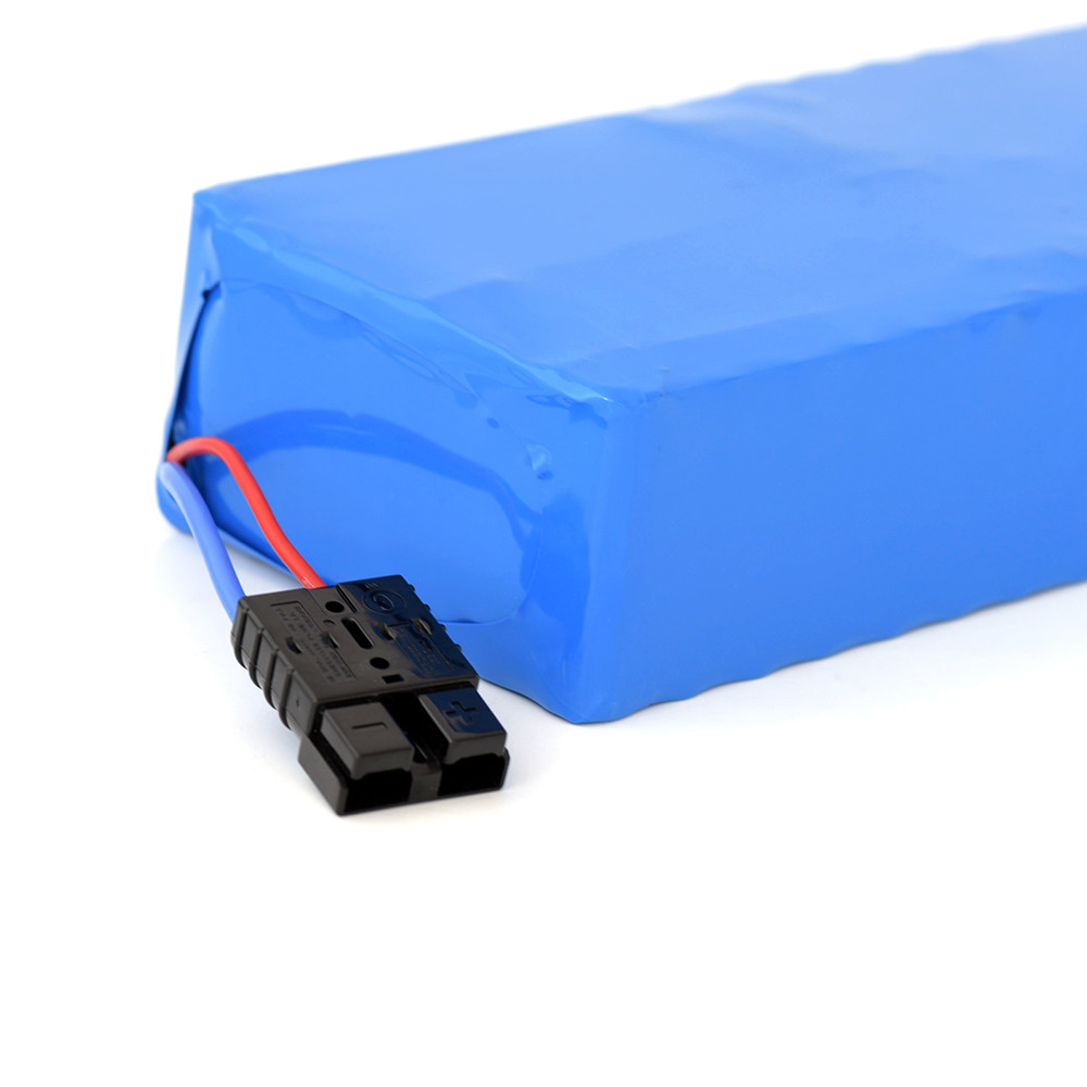 Ebike 48v 25ah Lithium Ion Battery with 2000 Times Cycle life
