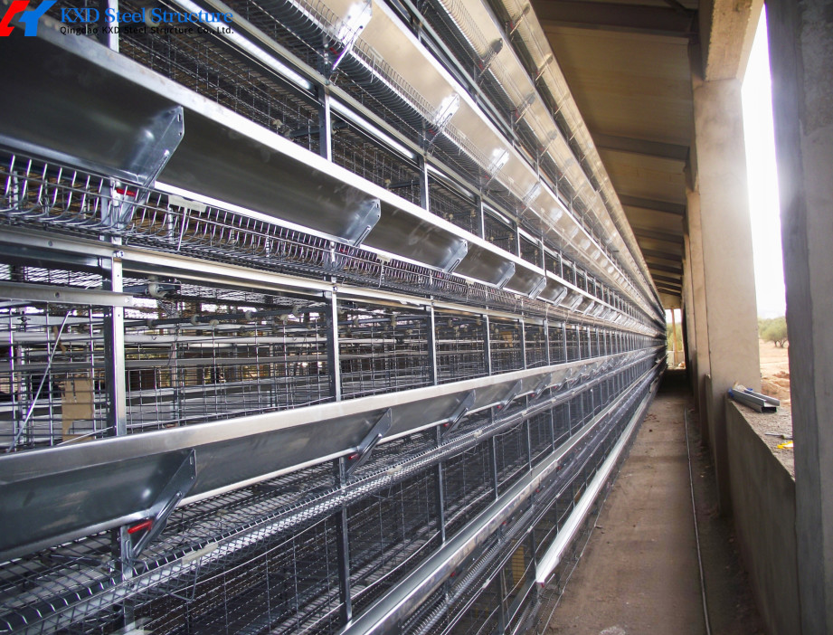Poultry Farm Equipment A Type Battery Broiler Chicken Cage For Small Farm