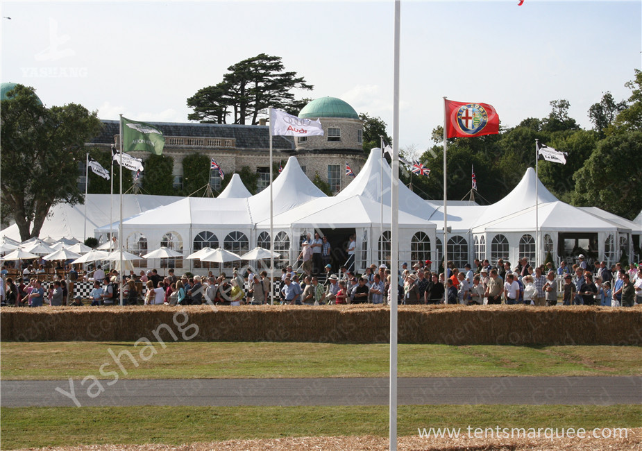Transparent Soft Window Combined Shape Aluminum Framed Outdoor Party Tent