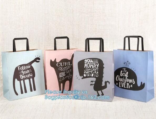 Luxury Rope Handle Laminated Paper Carrier Bags,brand Luxury laminated manila carrier paper hand bag, bagplastics, bagea
