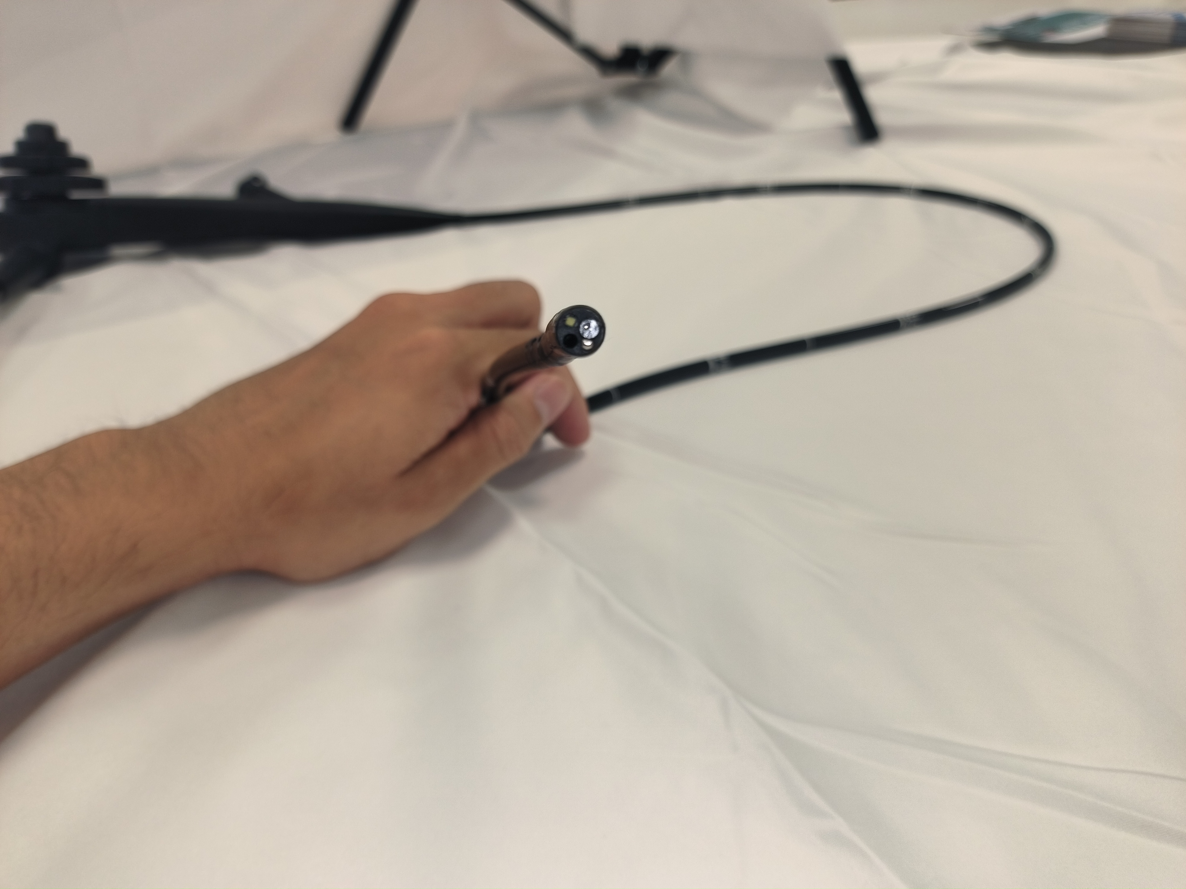 Electric Veterinary Video Gastroscope Colonoscope Flexible Medical Endoscope Camera