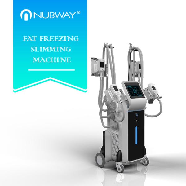 2500w big power standing cryolipolysis with 4 different size handles for whole
