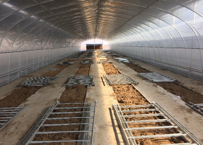 Strong Polytunnel Greenhouse 3m X 2m 9m 10m Growing Mushroom Natural Ventilation Shade Net