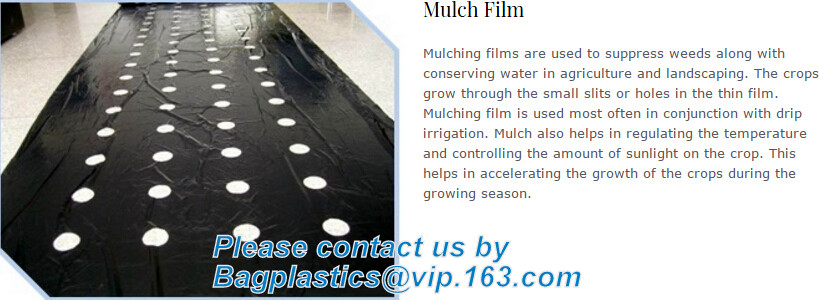 Transparent / Black / Silver / White color Plastic PE LDPE Agriculture Mulching Film,panda strawberry mulch film/black w