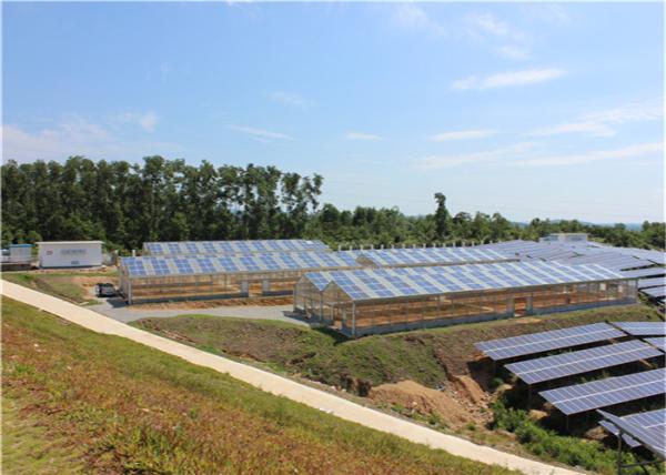 Single Span Greenhouse Solar System Agriculture Plant Warm House Metallic