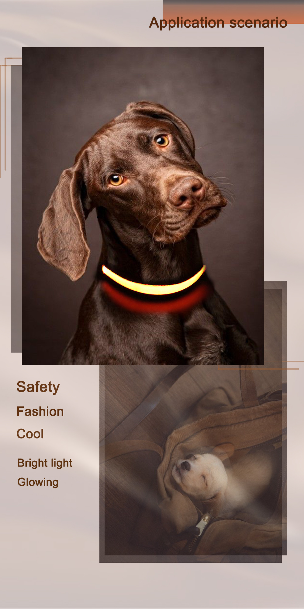 Waterproof Flashing Dog Collar , Nylon Material Safety Rechargeable Petsafe Dog Collar