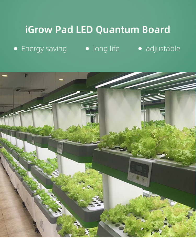 Samsung Lm301B IP67 Dimmable LED Grow Lights For Greenhouse