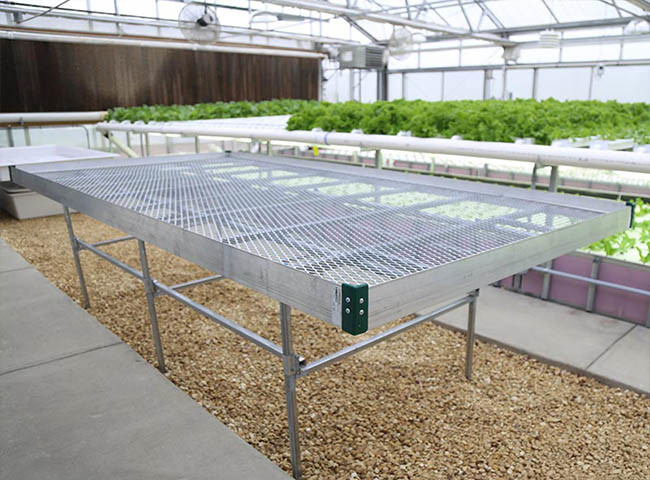 Expanded Metal for Greenhouse Shelves, Benches Top Panels 