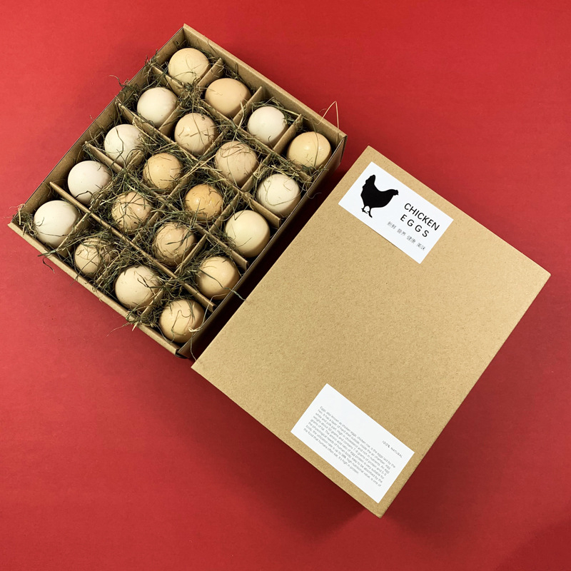 Empty 20 Reusable Egg Cartons Container Brown Cardboard Paper Custom Printed